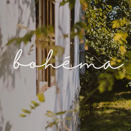 Roubenka Bohema * Vernerice